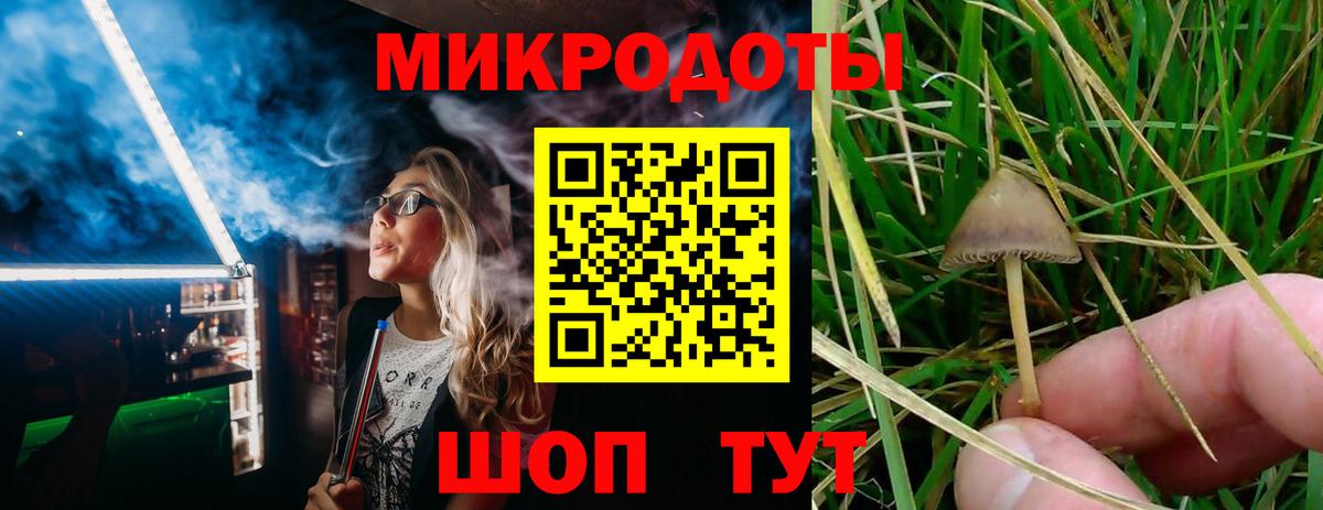 Галлюциногенные грибы прущие грибы  Вход с VPN  Ялуторовск  Псилоцибиновые грибы Magic Shrooms 